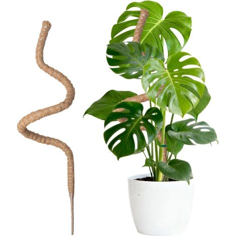 150 Cm Lange, Faltbare Kletterstütze Aus Kokosfaser Für Zimmerpflanzen, Anzuchtstab Für Den Hausgarten, Z. B. Für Monstera-pflanzen