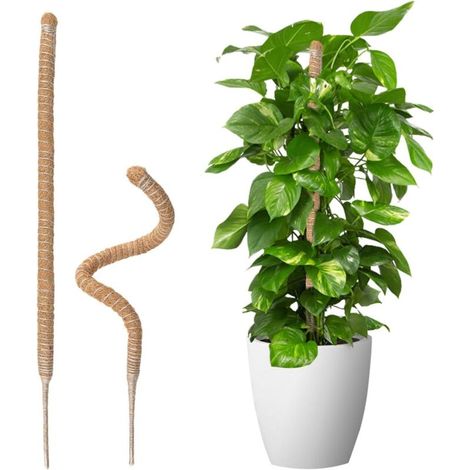 2-teilige Rankhilfe Aus Kokosfaser Mit Stäben, 5 Mm Breite, Faltbare Kokosfaserstange Für Garten- Und Monstera-pflanzen, 70 Cm