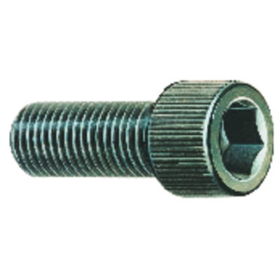Röhm Befestigungsschraube für DURO M 16 x 1,5 x 40