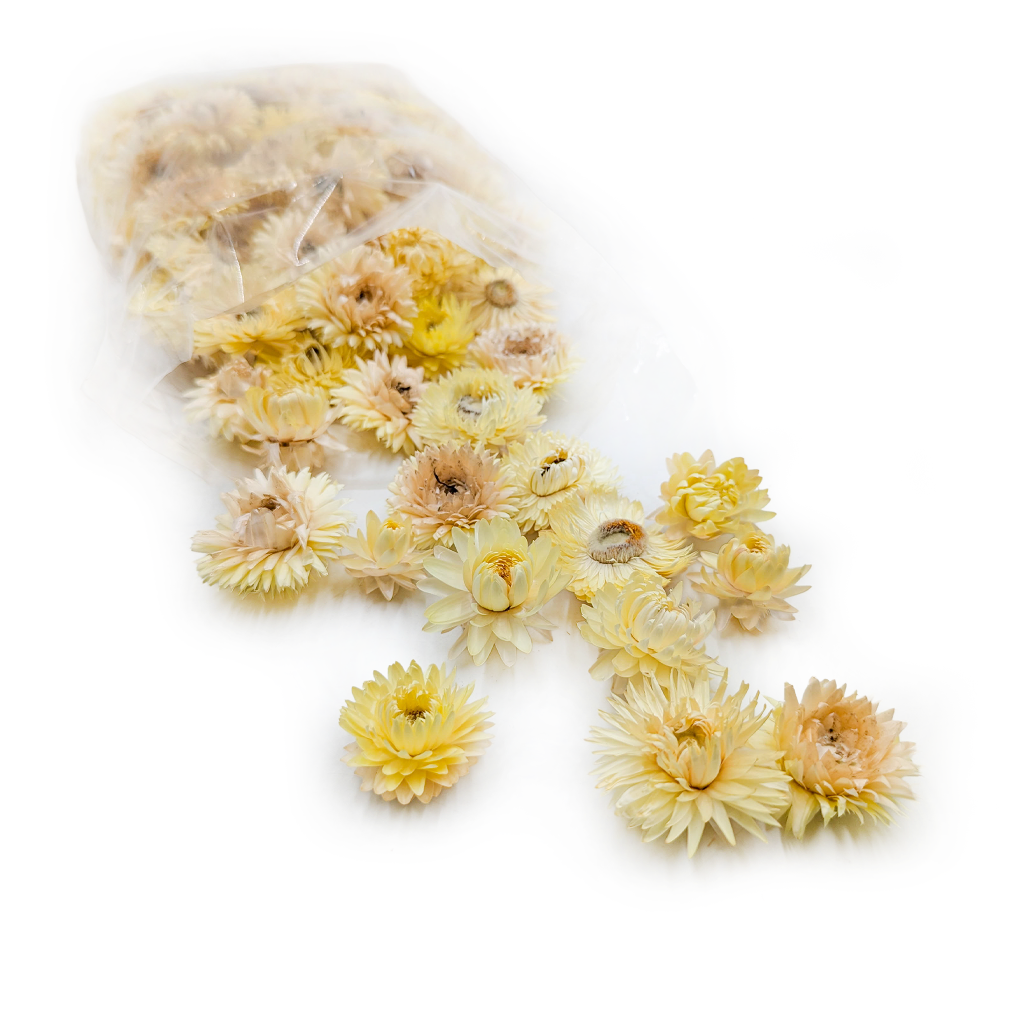 Getrocknete Strohblumenblüten - Köpfe - (strohblume) - Zitrone