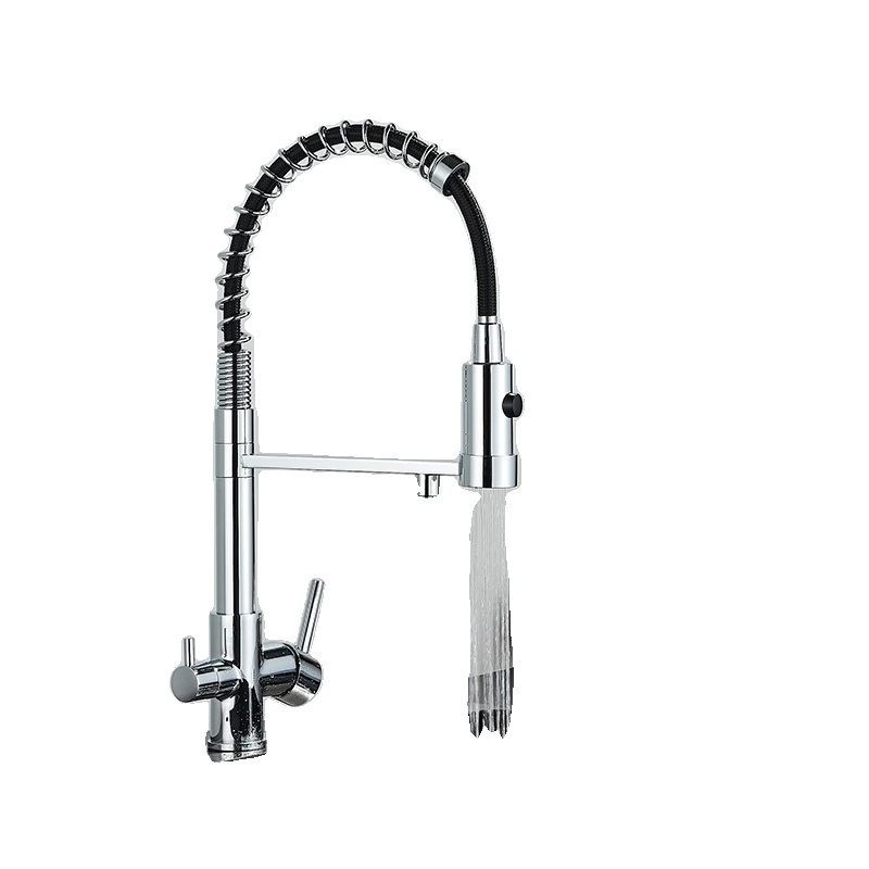 Küchenarmatur, Zweigriffarmatur Mit Filterauslauf, Gebürstetes Nickel