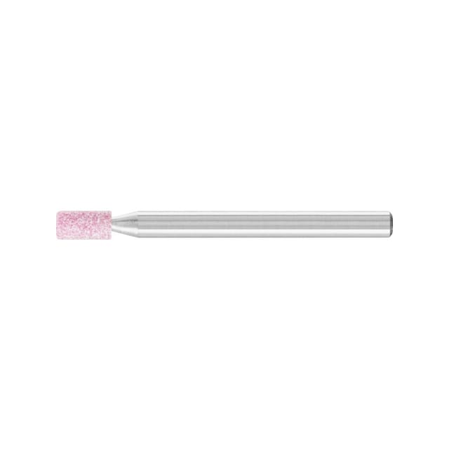 August Rüggeberg Gmbh&co.kg - Pferd s-stifte Zy 0306 3 Adw 100 m5v Steel