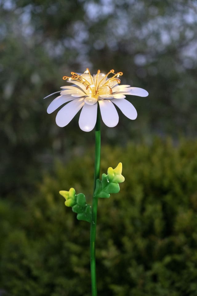 Solar Gartenstecker 'Daisy', grün-weiß, Dämmerungssensor