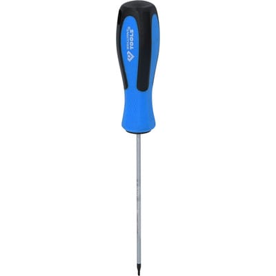 BRILLIANT TOOLS Schraubendreher TORX T6 x 100 mm - BT031037
