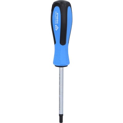 Brilliant Tools - Schraubendreher torx, T40 x 100 mm