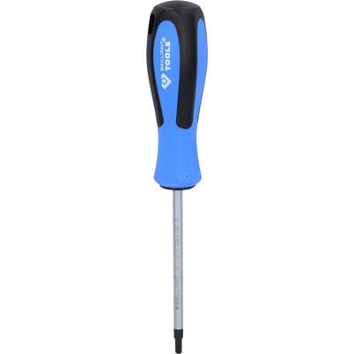Brilliant Tools - Schraubendreher torx, T25 x 100 mm