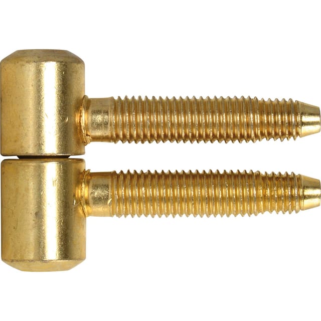 SFS - Einbohrband Türband ø 14,5 mm Zylinderkopf mit 3-Stufengewinde, vermessingt