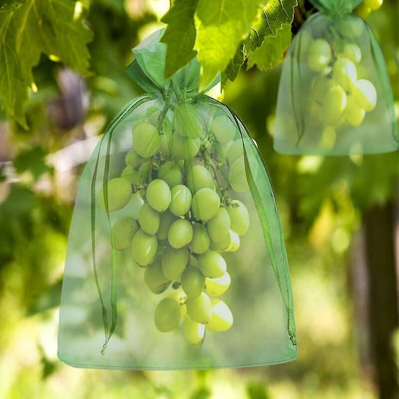 Bunch Protection Bag 20x15cm Rosin Fruit Organza Bag Avec Cordon Donne Une Protection Tota,100pcs