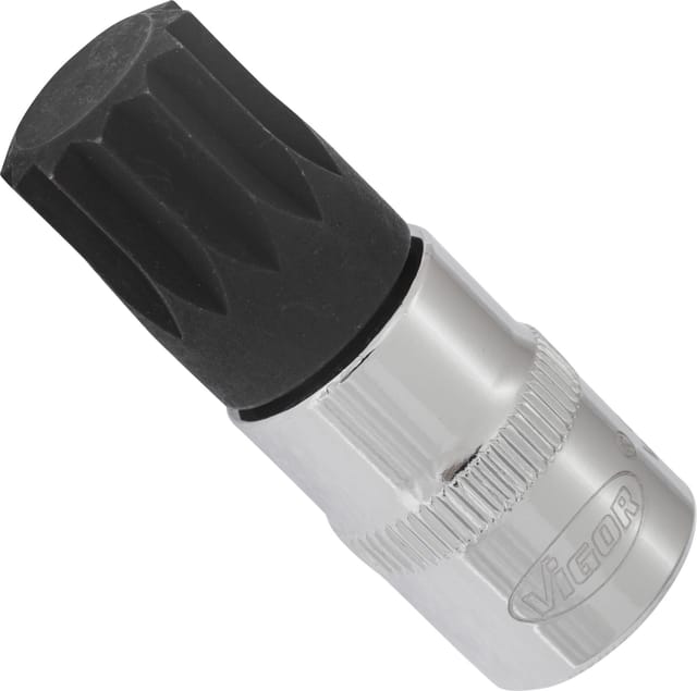 Innenvielzahn Schraubendreher-Einsatz ∙ xzn ∙ V6113 ∙ 3/8 Zoll (10 mm) Vierkant hohl ∙ Innen Vielzahn Profil xzn ∙ sw M16