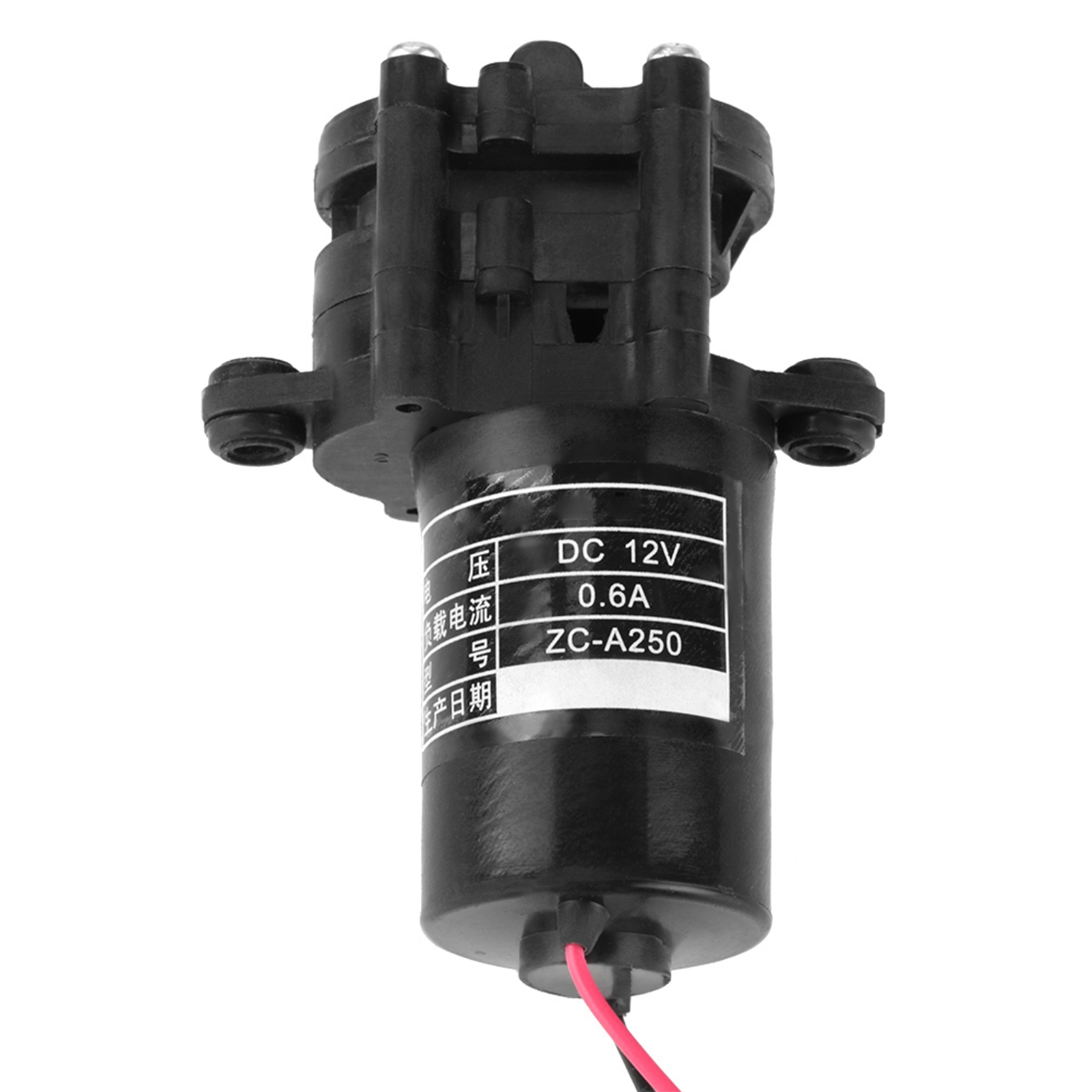 12v Dc Zc-a250 Selbstansaugende, Korrosionsbeständige Mikro-gleichstrom-wasserpumpe