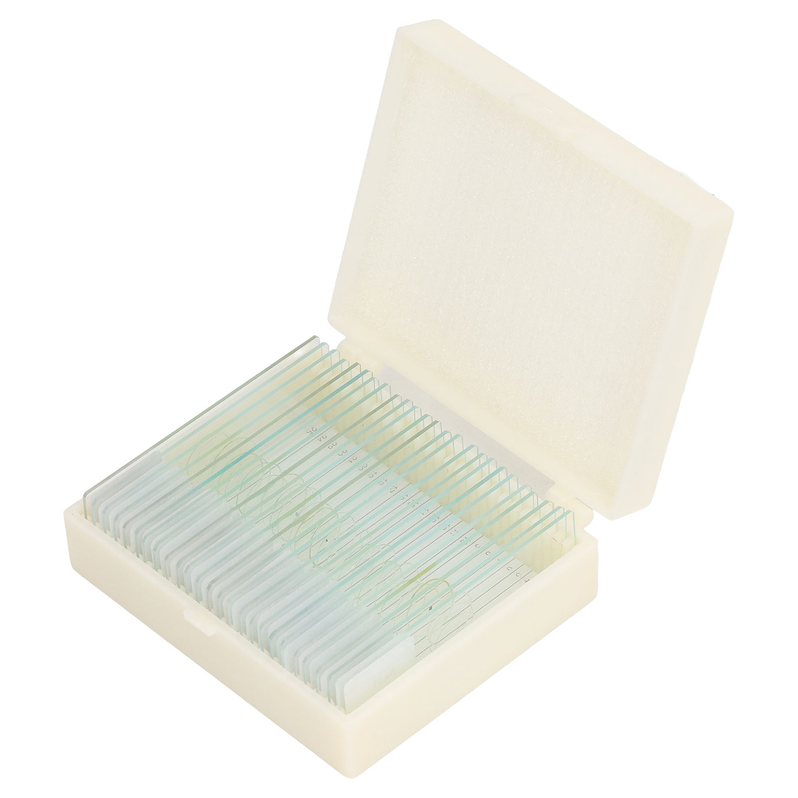 25 Objektträger Aus Klarem Optischem Glas, Deckglas-set Für Algen, Zellen Und Gewebe
