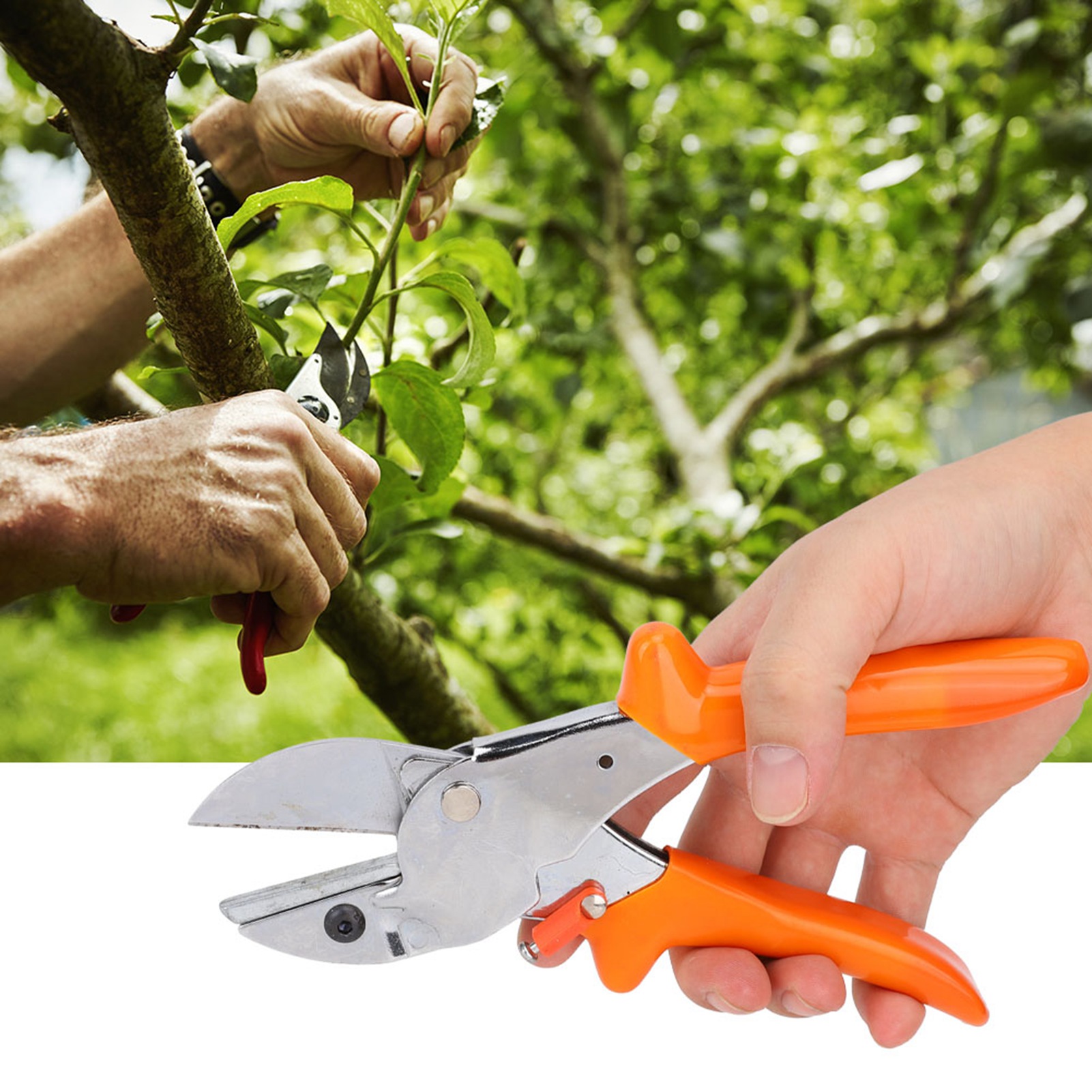 Hochwertige Gartenschere Mit Edelstahlklinge, Obstschere, Gartenschere Für Vielfältige Zwecke