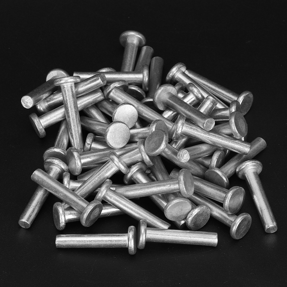100 Stück Gb867 M4 Flachkopf-aluminiumnieten, Flachkopf-vollnieten (m4 25)