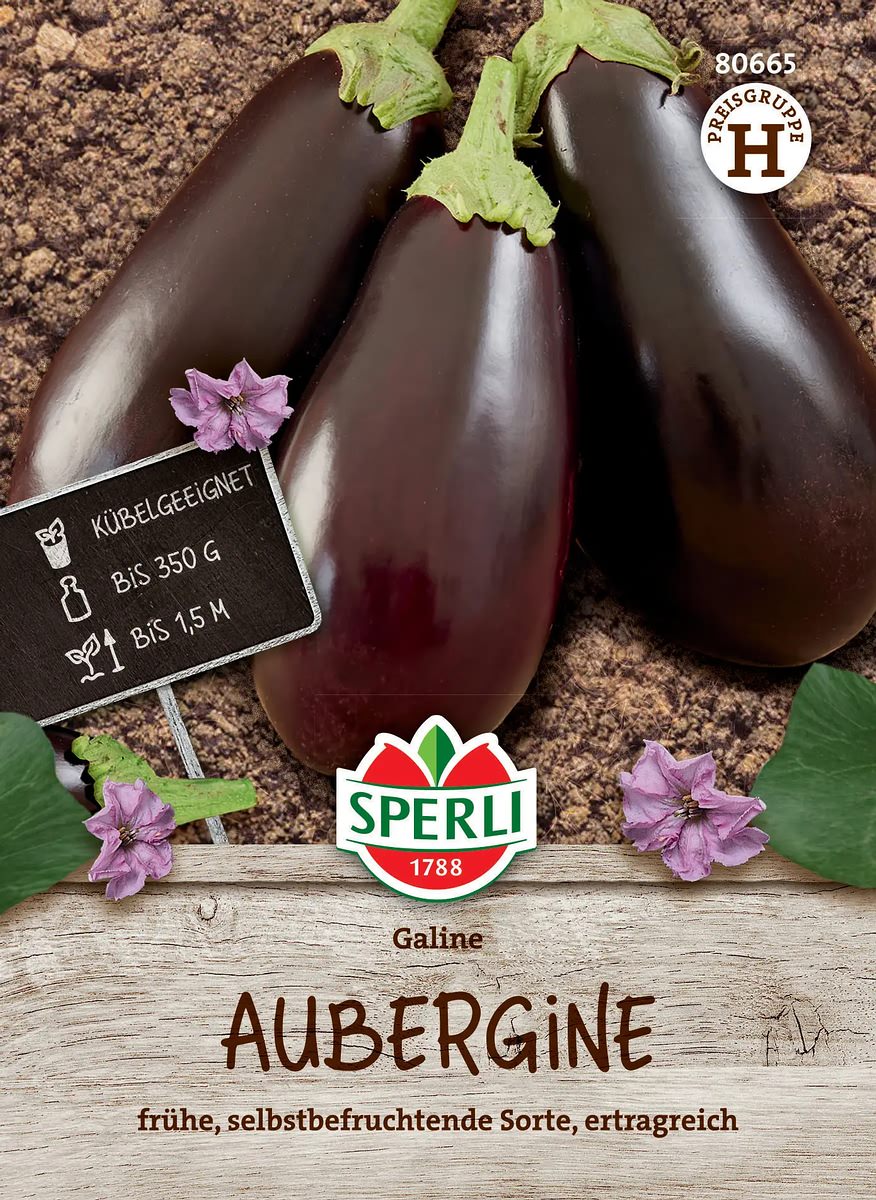Gemüsesamen, Aubergine 'galine'