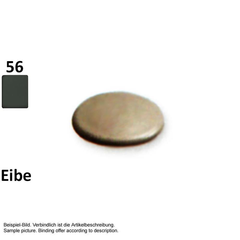Systemceram Sink And Shower Cover Ablaufabdeckung Eibe