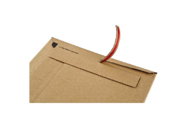 Versandtasche ® Rigid Plus 250 x 340 x -50 mm (B x H x T) ohne Fenster mit Selbstklebung Kraftliner Wellpappe braun