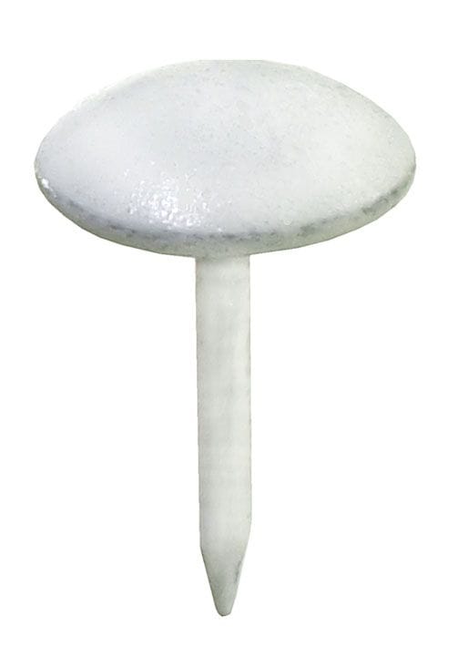 Polsternägel Ø 9,0 X 12,5 Mm Rundkopf- & Polsternägel