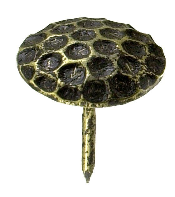 Ziernägel ø 22,0 x 12,5 mm, 12 Stück Ziernägel