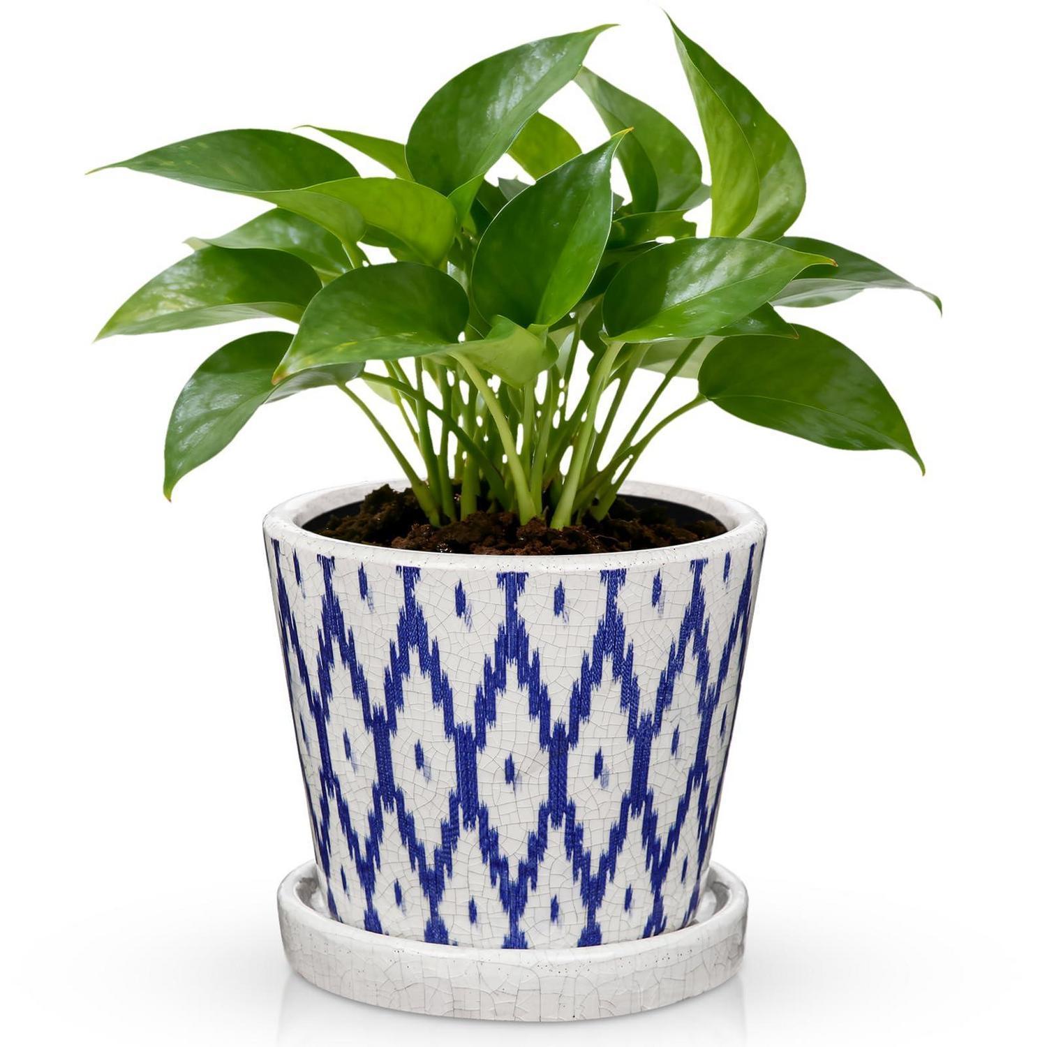 Keramik Blumentopf 14cm Blau-weiß Mit Untersetzer Und Ablaufloch