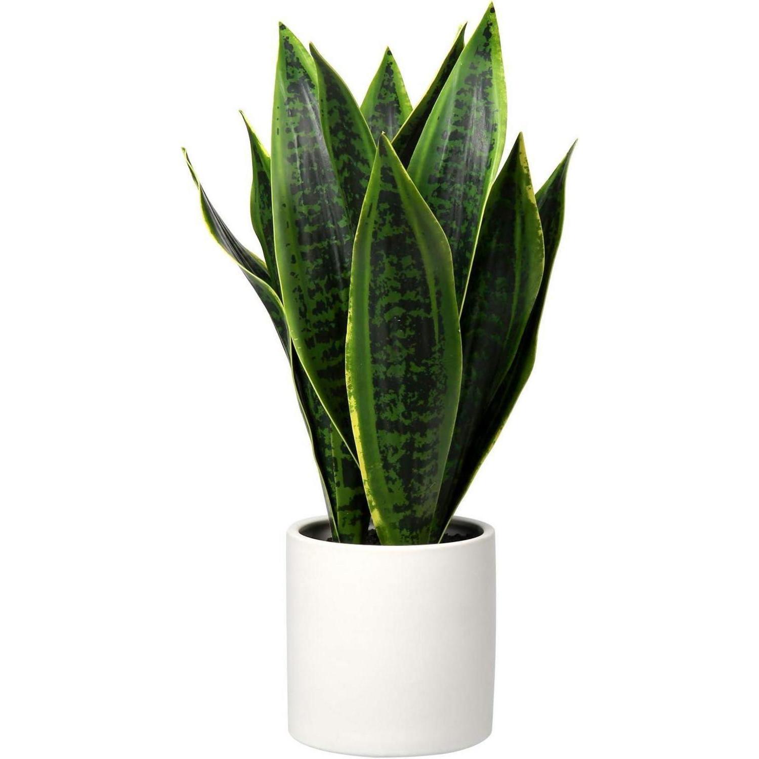 Künstliche Sansevieria Mit 10 Blättern Im Weißen Keramiktopf, Höhe 40,6cm