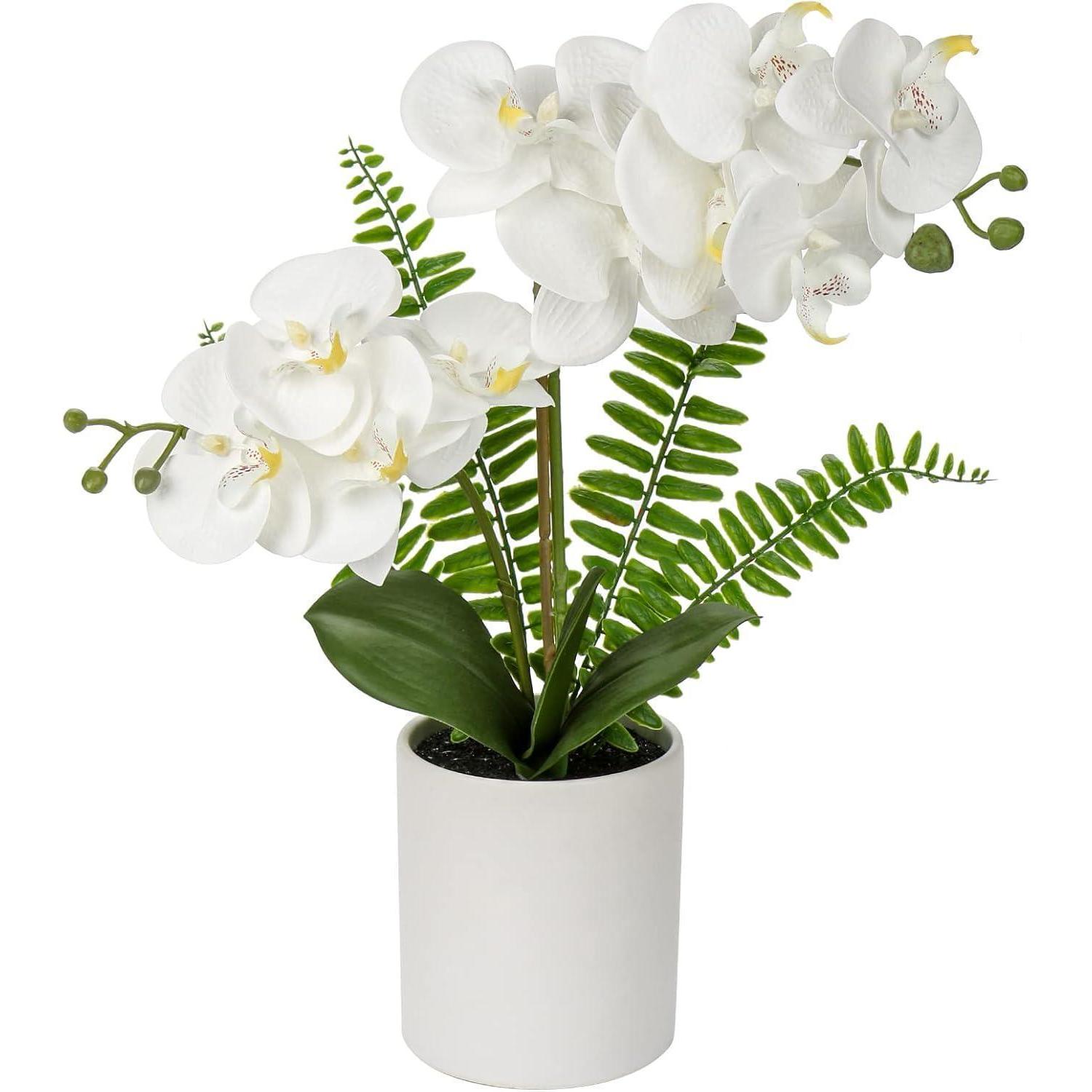 Künstliche Orchidee Phalaenopsis Im Keramiktopf, 40,5cm, Weiß/rosa/violett