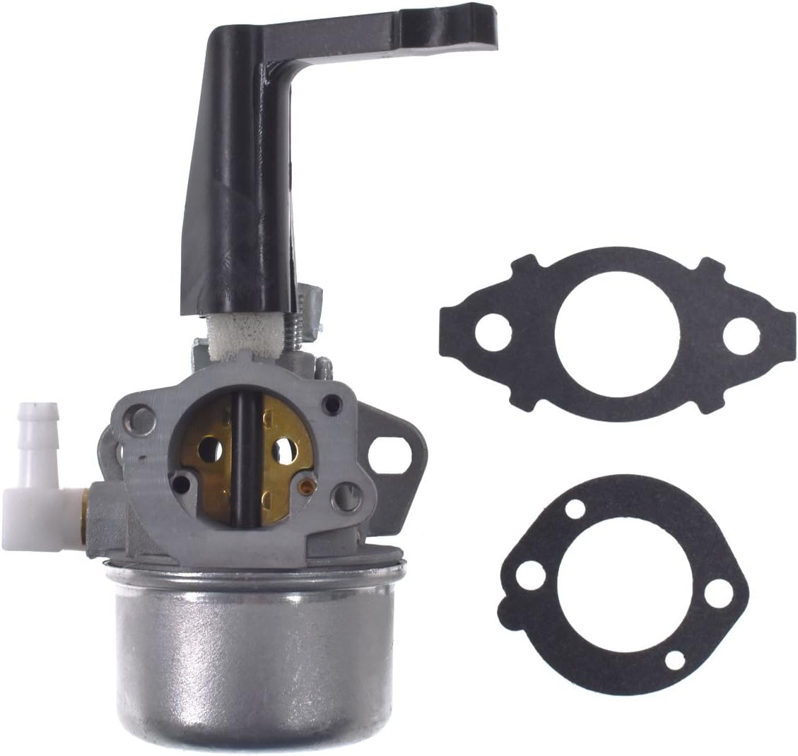 Ersatzvergaser, Teilenummer 696065, Mit Dichtungssatz Für Briggs & Stratton Motoren