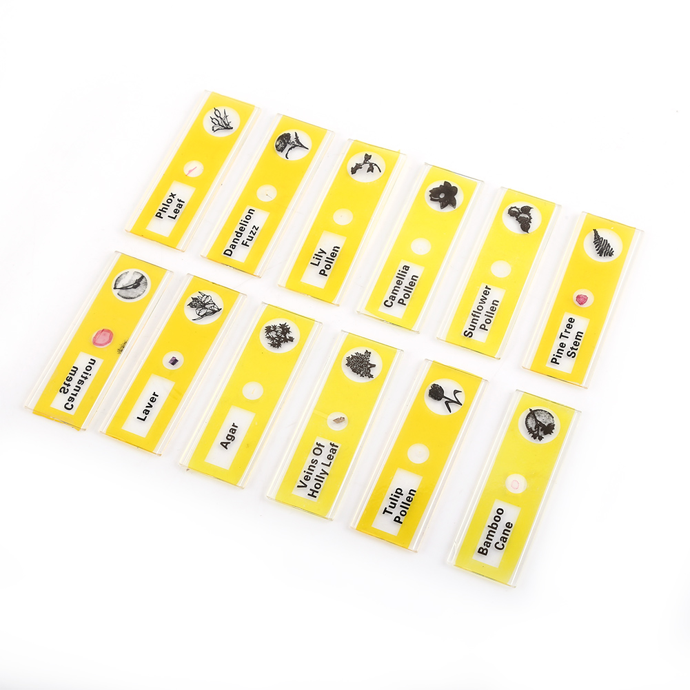 Ein Set Aus 48 Präparaten Für Das Mikroskop, Hergestellt Aus Kunststoff, Zeigt Tiere, Insekten, Pflanzen Und Blumen.