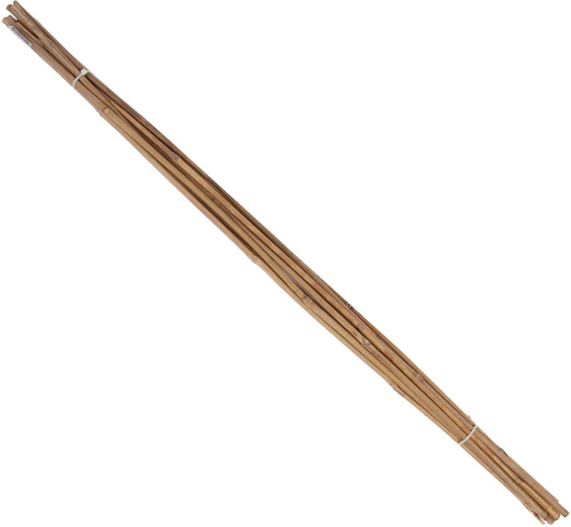 Tonkin-Pflanzstab Ø 6-8mm 90cm 10er Bund Floraworld