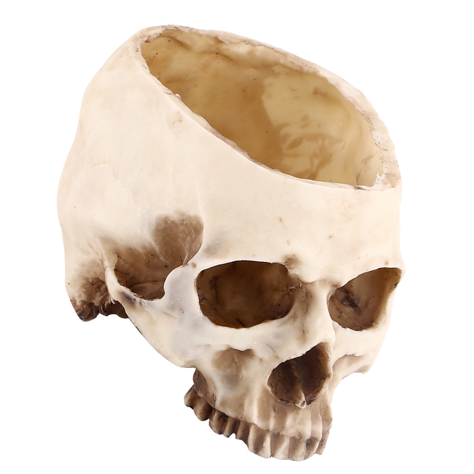 1 Stück Blumentopf/pflanzgefäß/dekoration Im Totenkopf-design Aus Kunstharz