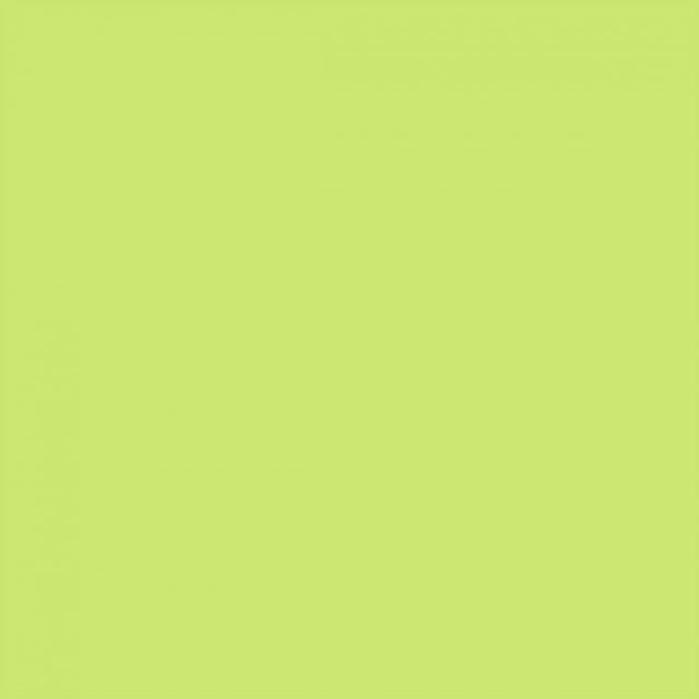 Braun&company - Soft Touch Servietten Colours of Lime 38 x 38 cm 20er Pack