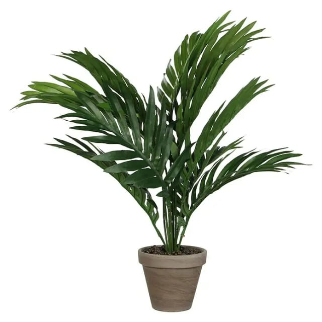EDM - Mica Kunstpflanze Areca Palme grün im Topf 45 x 60 cm Kunstpflanzen