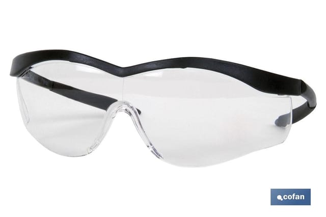 Schutzbrille Modell Eyes 2000