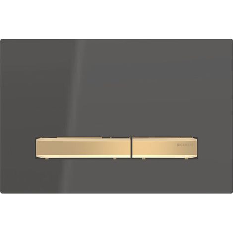 Zweimengenspülung – Zinkdruckguss Und Kunststoff – Schwarz Und Messing – Abmessungen 246 X 164 X 13 Mm