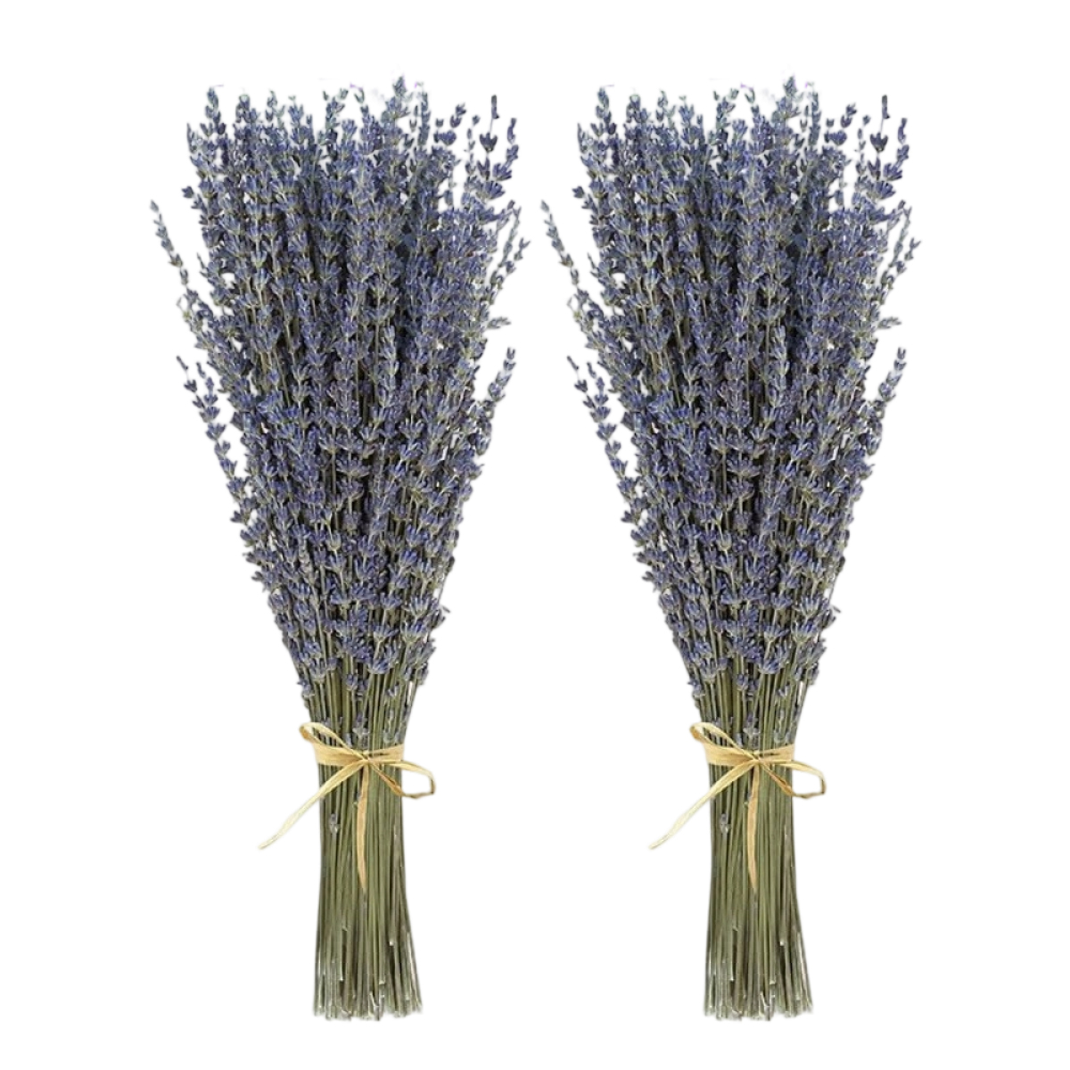Duftsäckchen Mit Reinem, Natürlichem Lavendel Aus Xinjiang, Getrockneten Blüten, Lavendelstrauß, Echten Blüten