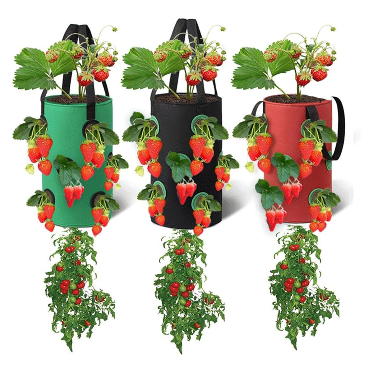 Set Mit 3 Hänge-pflanzsäcken, Pflanzsäcke Mit 12 Atmungsaktiven Pflanzlöchern, Für Erdbeeren, Kräuter, Blumen, Gemüse, 20 Cm X 35 Cm (rot, Schwarz, Grün)