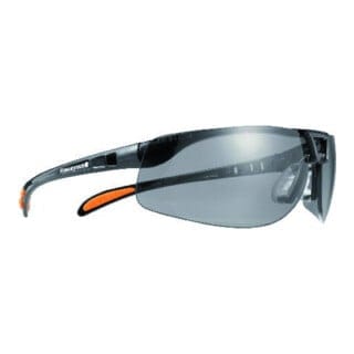Schutzbrille Protégé EN166