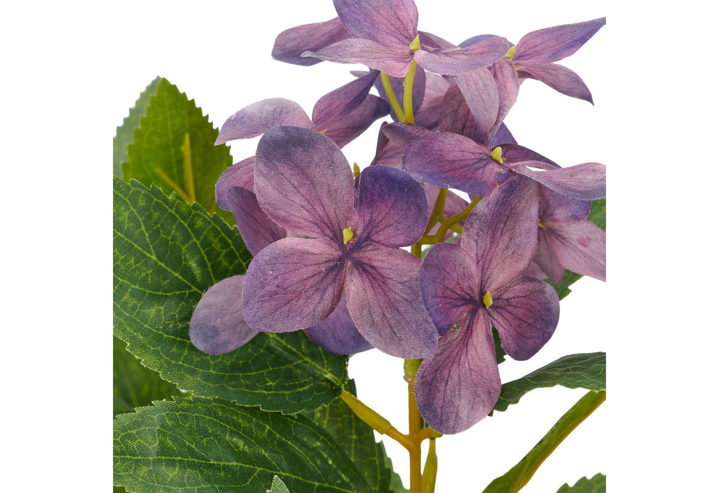 Kunstpflanze Hortensie paniculata, Creativ green, Höhe 45 cm, mit 8 Real-Touch-Blüten