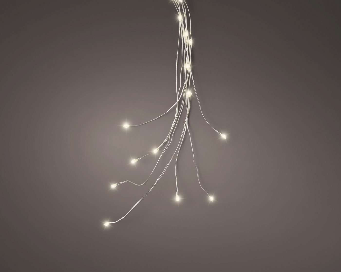 Lumineo LED-Lichterkette, LED Lichterbündel 80cm mit 60 warmweißen Lichtpunkten Silber Bild 5