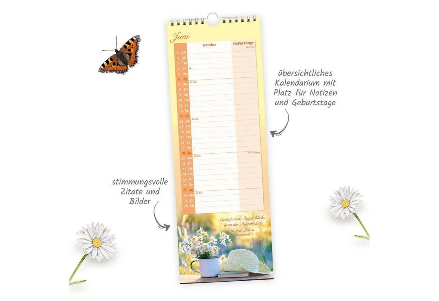 Trötsch Verlag Wandkalender TRÖTSCH - Maxi-Streifenkalender Omas Kalender 2027