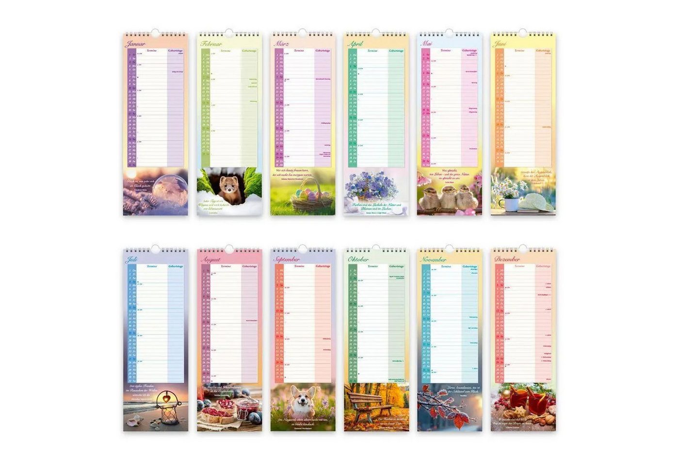 Trötsch Verlag Wandkalender TRÖTSCH - Maxi-Streifenkalender Omas Kalender 2027 Bild 2