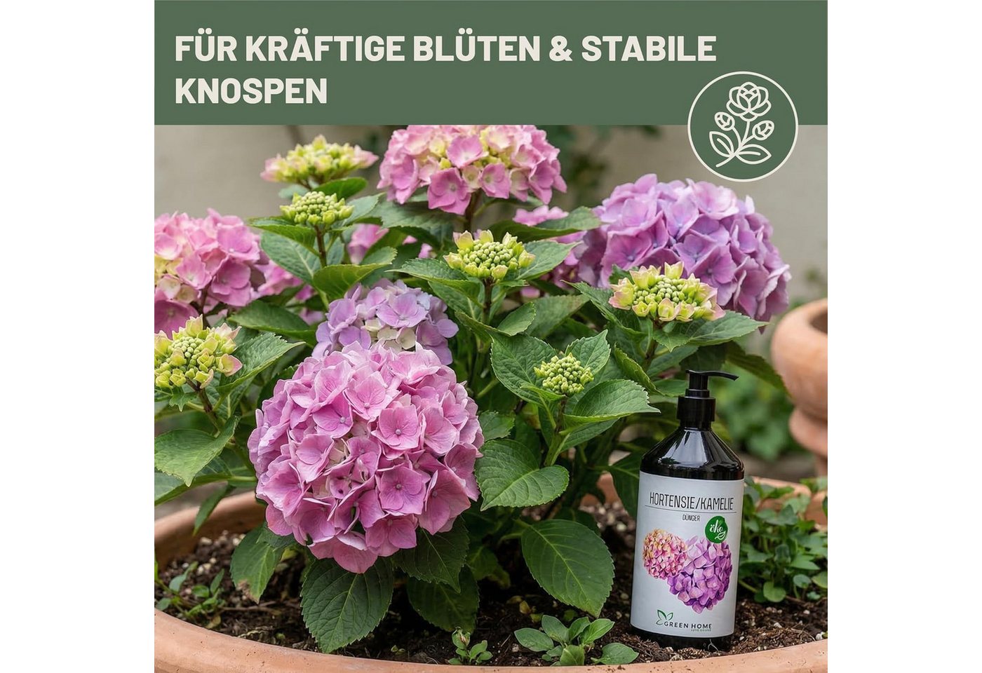 GREEN HOME LOVE NATURE Blumendünger Flüssigdünger NPK 5+5+7 für Hortensien, Kamelien & Moorbeetpflanzen, Hortensie & Kamelie, NPK 5+5+7, Spurennährstoffe, chelatiert, Dosierpumpe