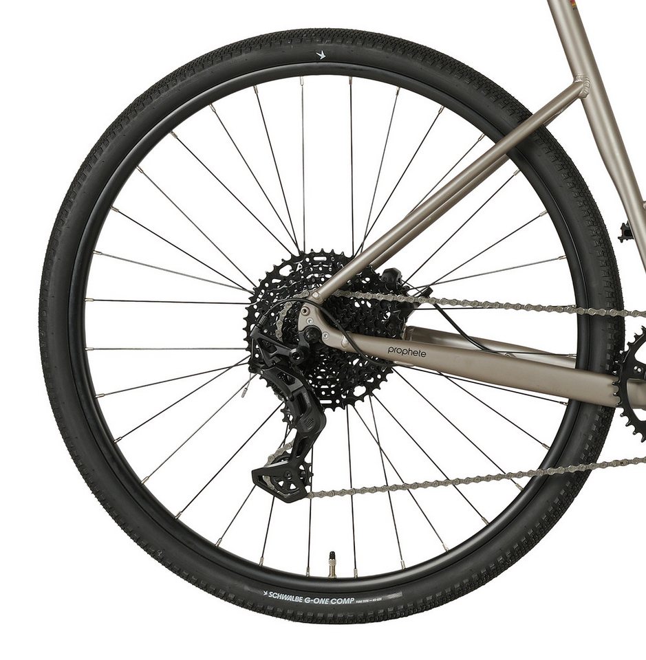 Prophete Gravelbike Prophete Graveler, 10 Gang microSHIFT Sword Schaltwerk, Kettenschaltung Bild 5