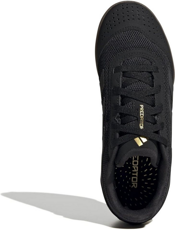 adidas Sportswear PREDATOR CLUB IN SALA J CBLACK/CARBON/GOLDMT Fußballschuh Bild 5