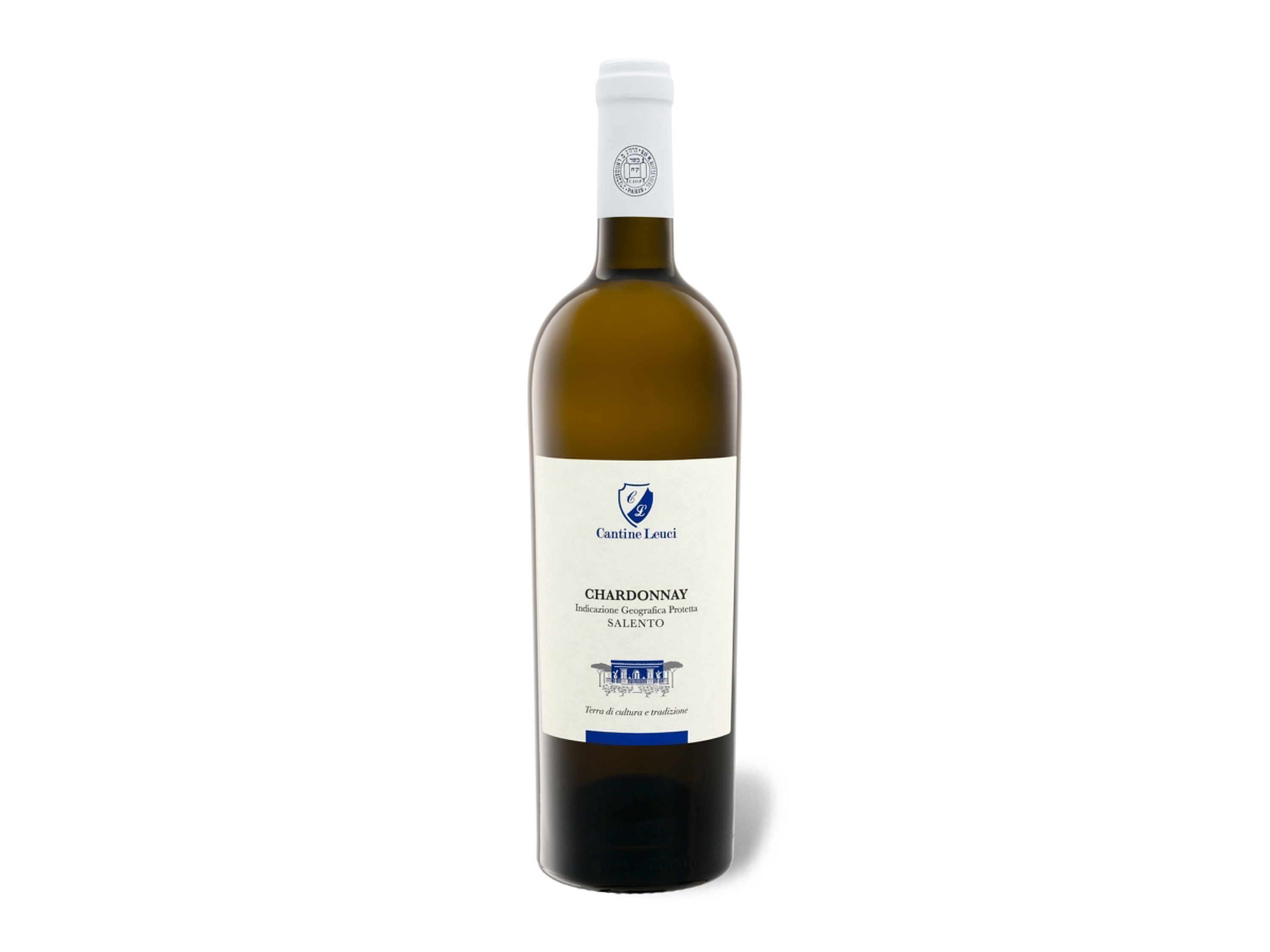 CANTINE LEUCI Chardonnay Salento IGP trocken koscher, Weißwein 2025 Bild 3