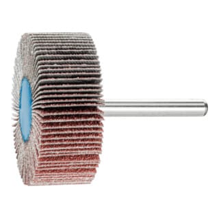 PFERD Fächerschleifer Ø 50 x H 20 mm Körnung 60 - 44504066