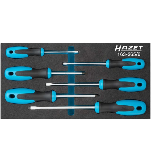 Hazet Werkzeugmodul 163-265/6 6-teilig ( 4000871196 )
