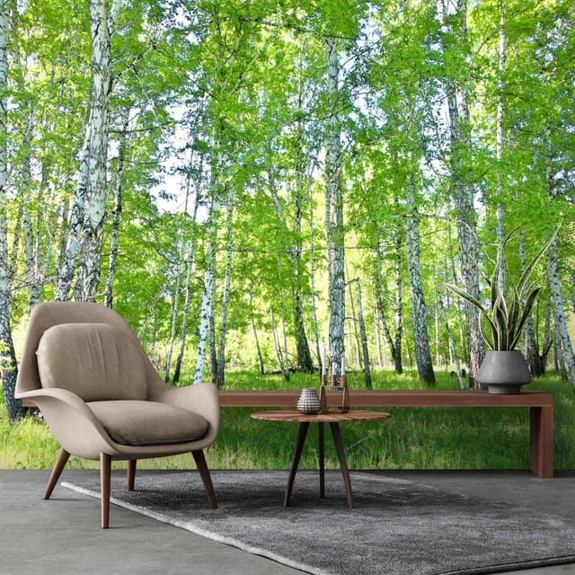 Fototapete Birkenwald Bäume, Für Wohnzimmer Und Schlafzimmer, 300 X 210 Cm – Komplettset Inkl. Kleister & Anleitung