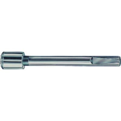 Führungszapfen Gr.01 4,1mm gfs