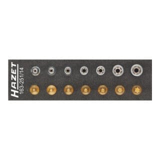 Werkzeug Satz, torx, Vierkant hohl 6,3 mm (1/4), Außen torx Profil, Innen torx Profil, E4 - E11, T10 - T40, Anzahl Werkzeuge: 14 - Hazet