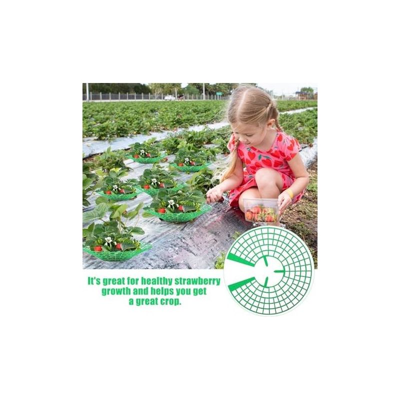 Erdbeerpflanzenstützen, 10 Stück, Erdbeerpflanzen, Gartenschutz, Rankgerüstnetze Für Pflanzen, Gemüse, Blumen -
